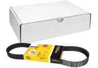 Courroie trapézoïdale à nervures 6PK751 Contitech