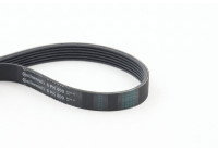 Courroie trapézoïdale à nervures 6PK800 Contitech