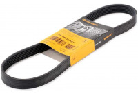 Courroie trapézoïdale à nervures 6PK842 ELAST Contitech