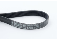 Courroie trapézoïdale à nervures 6PK873 ELAST Contitech