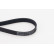 Courroie trapézoïdale à nervures 6PK976 Contitech, Vignette 2