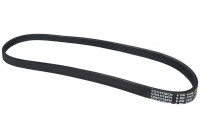 Courroie trapézoïdale à nervures 7PK1125 Contitech