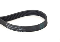 Courroie trapézoïdale à nervures 7PK1675 Contitech