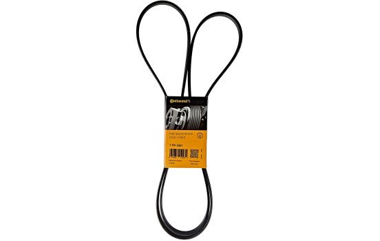 Courroie trapézoïdale à nervures 7PK2061 Contitech