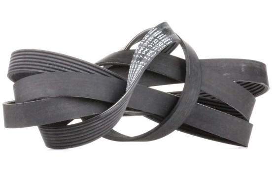 Courroie trapézoïdale à nervures 7PK3120 Contitech