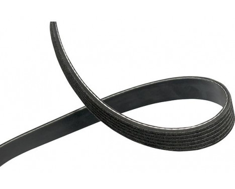 Courroie trapézoïdale à nervures DMV-1045 Kavo parts