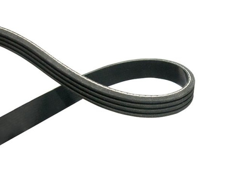 Courroie trapézoïdale à nervures DMV-1543 Kavo parts