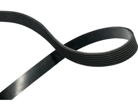 Courroie trapézoïdale à nervures DMV-2079 Kavo parts