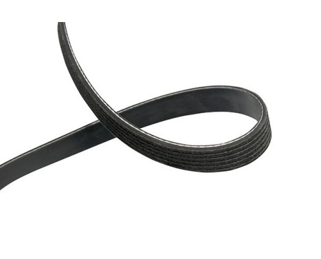 Courroie trapézoïdale à nervures DMV-4028 Kavo parts