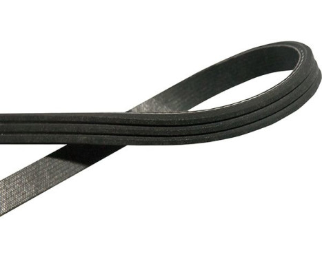 Courroie trapézoïdale à nervures DMV-4572 Kavo parts