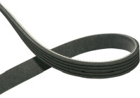 Courroie trapézoïdale à nervures DMV-5540 Kavo parts