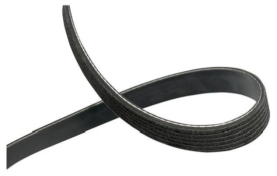 Courroie trapézoïdale à nervures DMV-6552 Kavo parts, Image 2