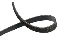 Courroie trapézoïdale à nervures DMV-6553 Kavo parts
