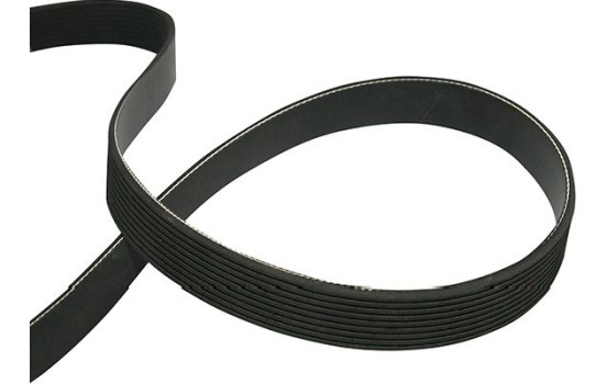 Courroie trapézoïdale à nervures DMV-9114 Kavo parts