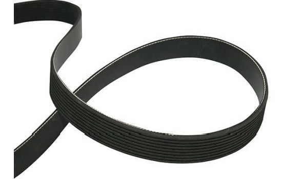 Courroie trapézoïdale à nervures DMV-9114 Kavo parts, Image 2