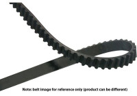 Courroie trapézoïdale à nervures DTB-2029 Kavo parts