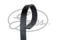 Courroie trapézoïdale à nervures FleetRunner? Micro-V® 6PK1980HD Gates