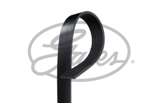 Courroie trapézoïdale à nervures FleetRunner? Micro-V® 8PK1600HD Gates