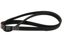 Courroie trapézoïdale à nervures Micro-V® 7PK1570 Gates