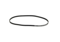 Courroie trapézoïdale en poly 3PK894 ELAST Contitech