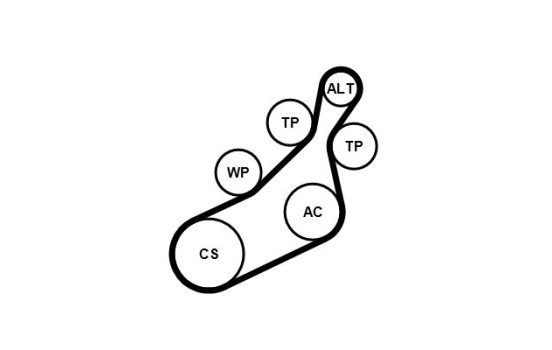 Ensemble de courroies Poly V 8PK1122 EXTRA K1 Contitech, Image 3