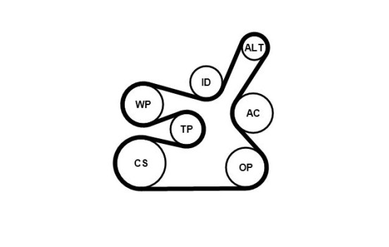Jeu de courroies poly trapézoïdales 6DPK1817K2 Contitech, Image 3