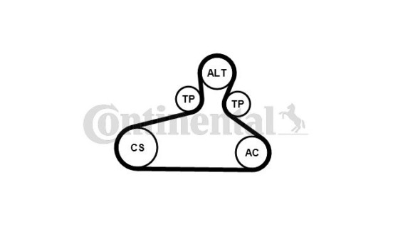 Jeu de courroies poly trapézoïdales 6PK1120 EXTRA K1 Contitech