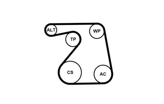 Jeu de courroies poly trapézoïdales 6PK1360K1 Contitech, Image 2