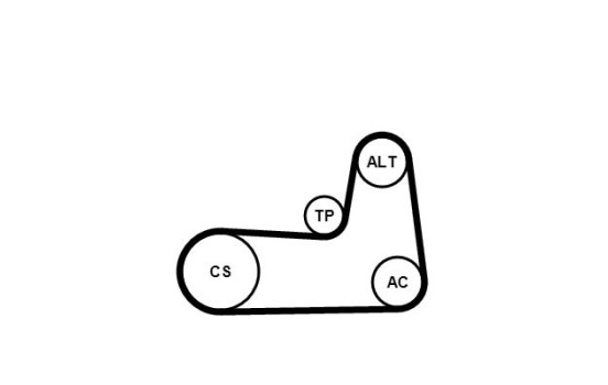 Jeu de courroies trapézoïdales à nervures 5PK1125K1 Contitech, Image 3