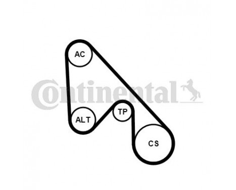 Jeu de courroies trapézoïdales à nervures 5PK1145K1 Contitech