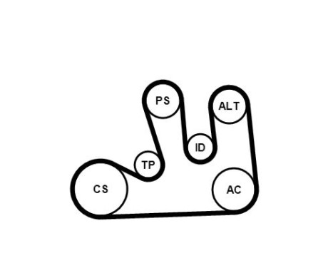 Jeu de courroies trapézoïdales à nervures 5PK1750K1 Contitech, Image 3