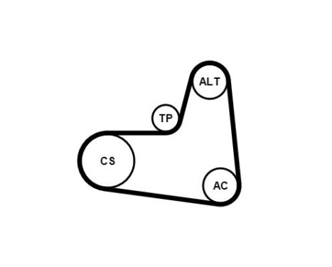 Jeu de courroies trapézoïdales à nervures 6PK1005K1 Contitech, Image 3