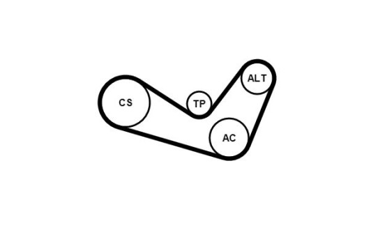 Jeu de courroies trapézoïdales à nervures 6PK1050K1 Contitech, Image 4