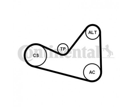 Jeu de courroies trapézoïdales à nervures 6PK1050K3 Contitech, Image 2