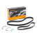 Jeu de courroies trapézoïdales à nervures 6PK1059 ELAST T2 Contitech