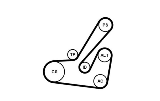 Jeu de courroies trapézoïdales à nervures 6PK1145K2 Contitech, Image 2