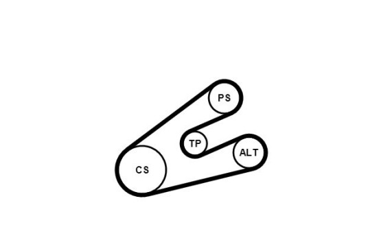 Jeu de courroies trapézoïdales à nervures 6PK1453K1 Contitech, Image 3