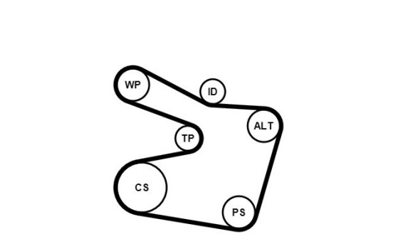 Jeu de courroies trapézoïdales à nervures 6PK1538K2 Contitech, Image 3