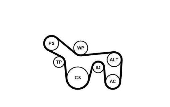 Jeu de courroies trapézoïdales à nervures 6PK1715K1 Contitech, Image 2