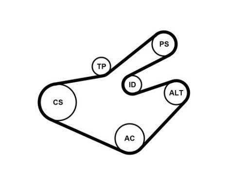 Jeu de courroies trapézoïdales à nervures 7PK1795K1 Contitech, Image 4