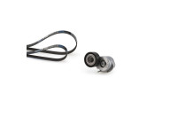 Jeu de courroies trapézoïdales à nervures Micro-V® Kit K036PK1320 Gates
