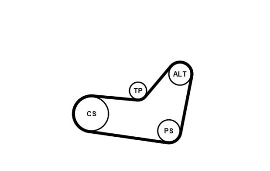 Jeu de courroies trapézoïdales poly 6PK1080K4 Contitech, Image 3