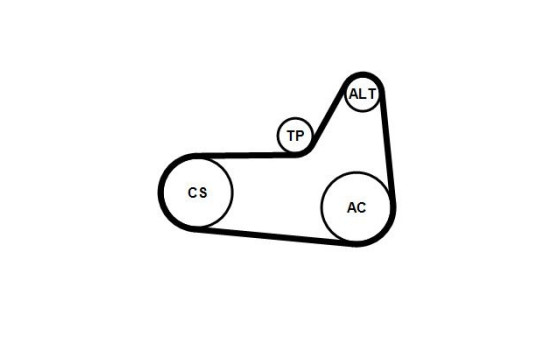 Jeu de courroies trapézoïdales poly 6PK1180K4 Contitech, Image 3
