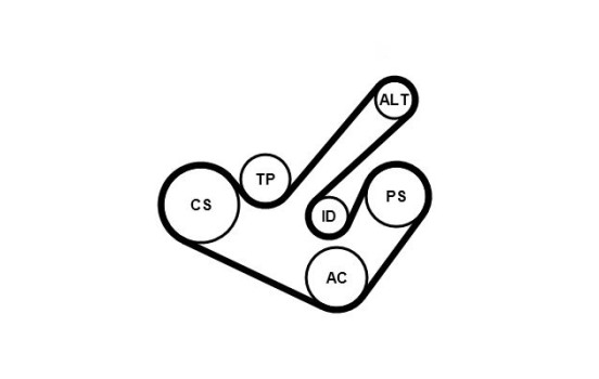 Jeu de courroies trapézoïdales poly-V 6PK1555K9 Contitech, Image 2