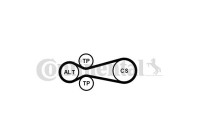 Jeu de courroies trapézoïdales poly-V 6PK922 EXTRA K1 Contitech
