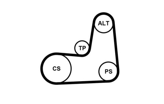 Kit de courroies multiples NISSAN/RENAULT 5PK1135K2 Contitech, Image 2