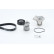 Kit multi-courroies + pompe à eau 6PK1453WP1 Contitech, Vignette 3