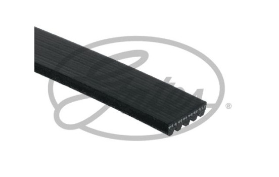 Multi-couronnes K050507RPM Gates, Image 2