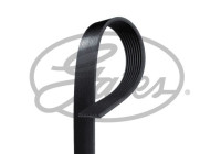 Multi-couronnes K080828RPM Gates
