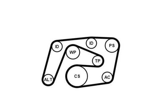 Pompe à eau + jeu de courroies trapézoïdales multiples 6PK2260WP2 Contitech, Image 2